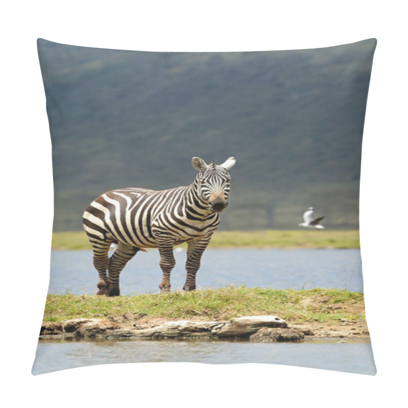 Personality  Zebra Pillow Covers