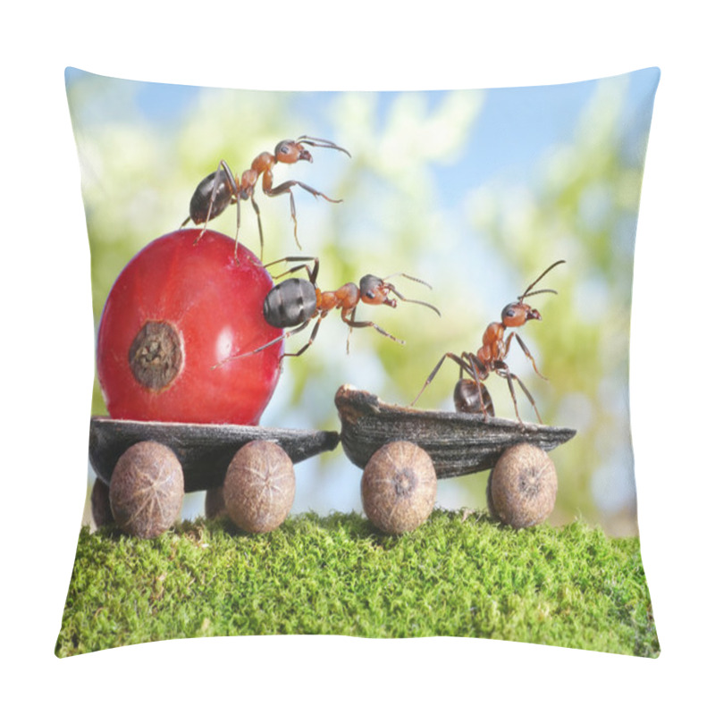 Personality  Ants Deliver Red Currant With Trailer Of Sunflower Seeds Pillow Covers