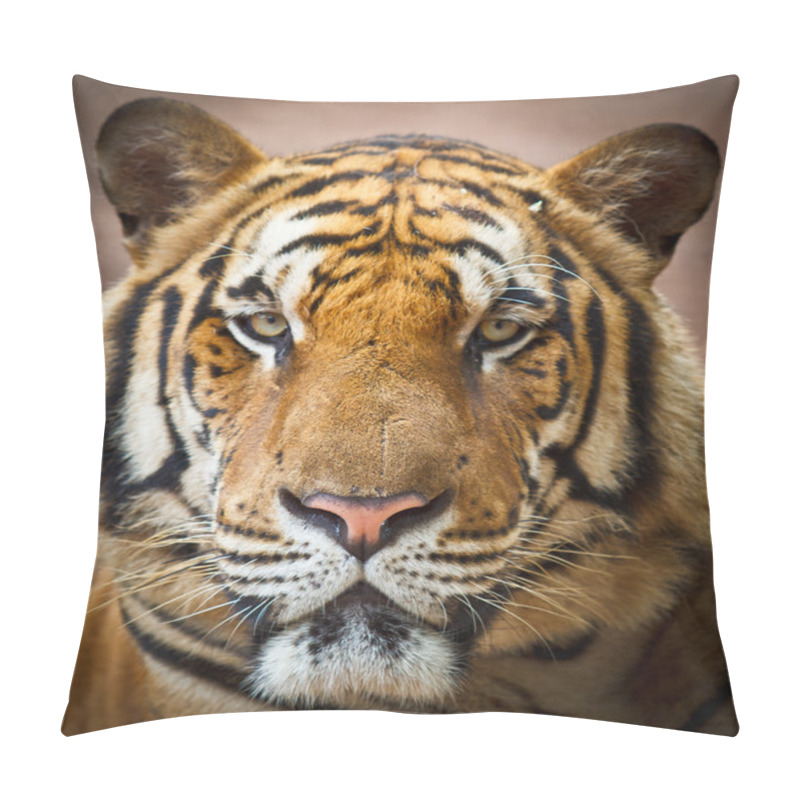 Personality  Tiger Wild Animal Pillow Covers