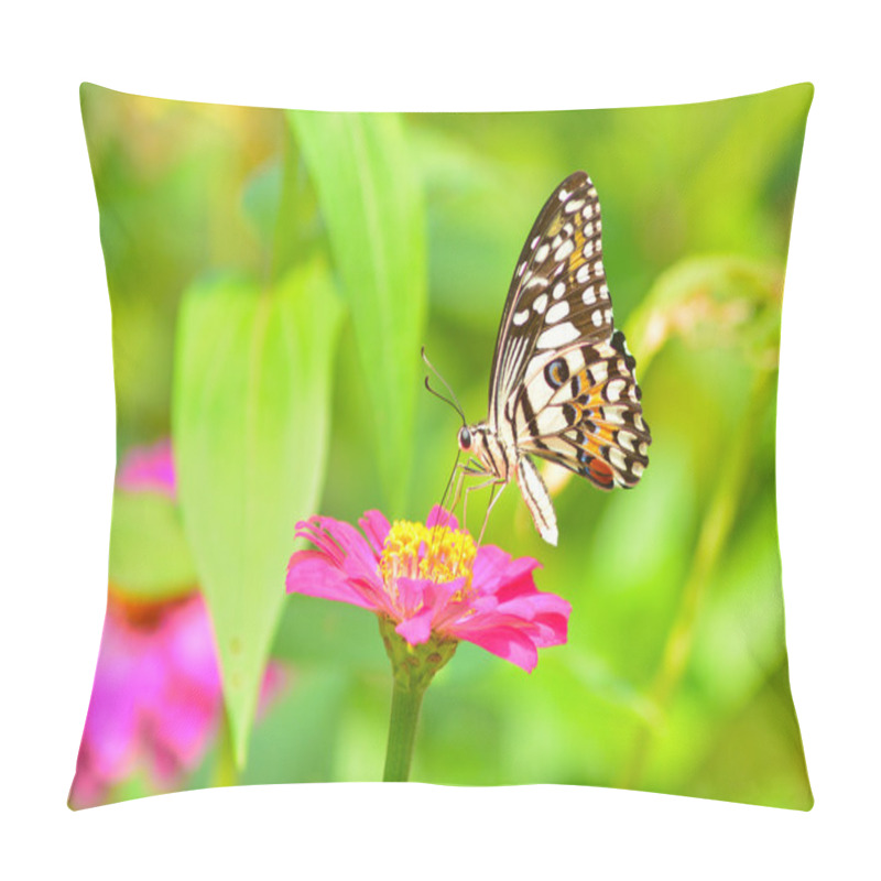 Personality  Butterfly On Flower Pillow Covers