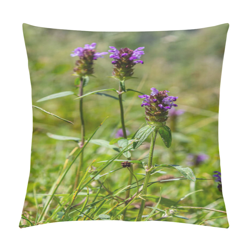 Personality  Prunella Vulgaris Makro Single Natural Flower, Medicinal Herbs Nature Background. Pillow Covers