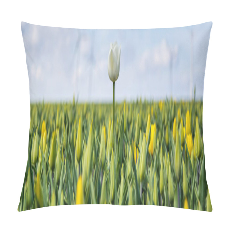 Personality  Web Banner With Yellow  Tulips Fields During Springtime In The N Pillow Covers