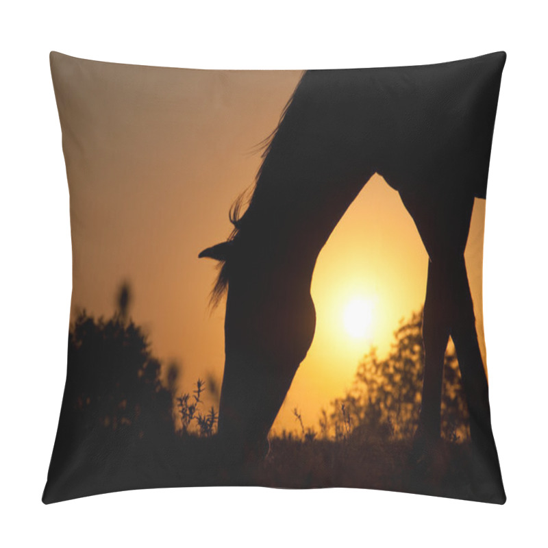 Personality  Grazing Horse Silhouette Against Rising Sun In Rich Tone Pillow Covers