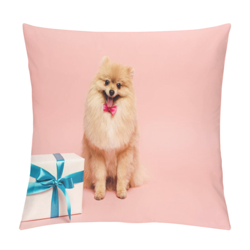 Personality  Fluffy Pomeranian Spitz Dog In Bow Tie With Birthday Present On Pink Pillow Covers