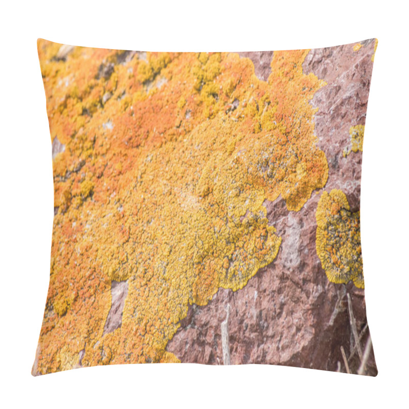 Personality  Caloplaca Marina Or Orange Sea Lichen Pillow Covers