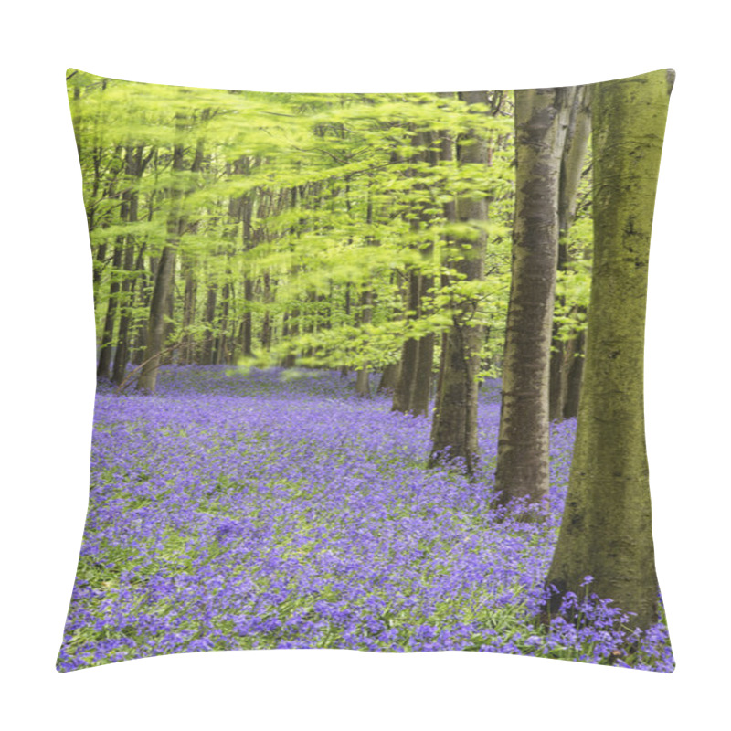 Personality  Vibrant Bluebell Carpet Spring Forest Landscape Pillow Covers