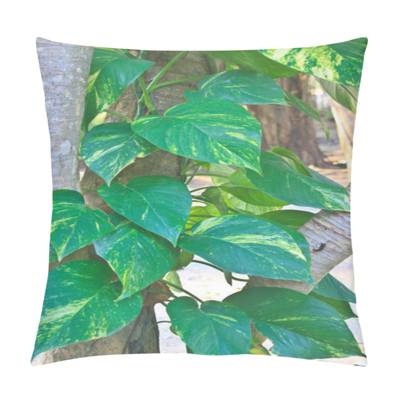 Personality  Golden Pothos Plant Pillow Covers