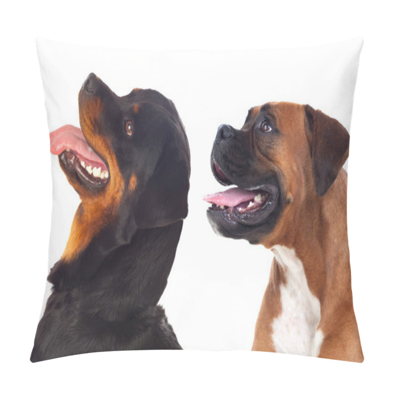 Personality  Two Big Dogs Isolated On White Background Pillow Covers