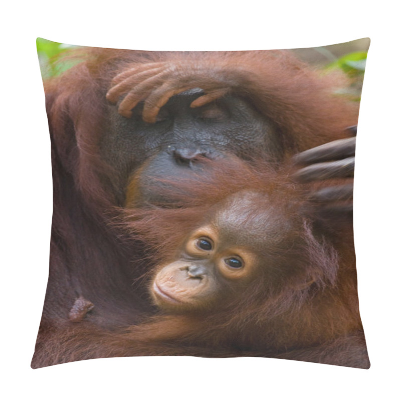 Personality  Orangutan Mother And Baby Pillow Covers