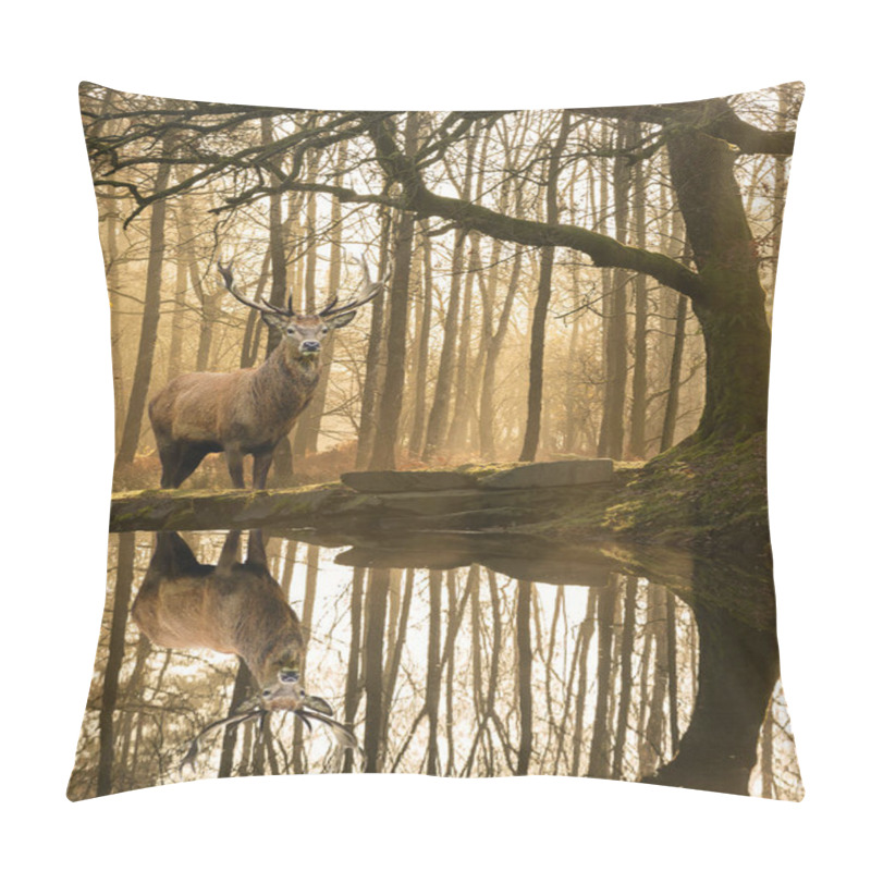 Personality  Stunning Landscape Image Of Still Stream In Lake District Forest With Beautiful Mature Red Deer Stag Cervus Elaphus Among Trees Pillow Covers