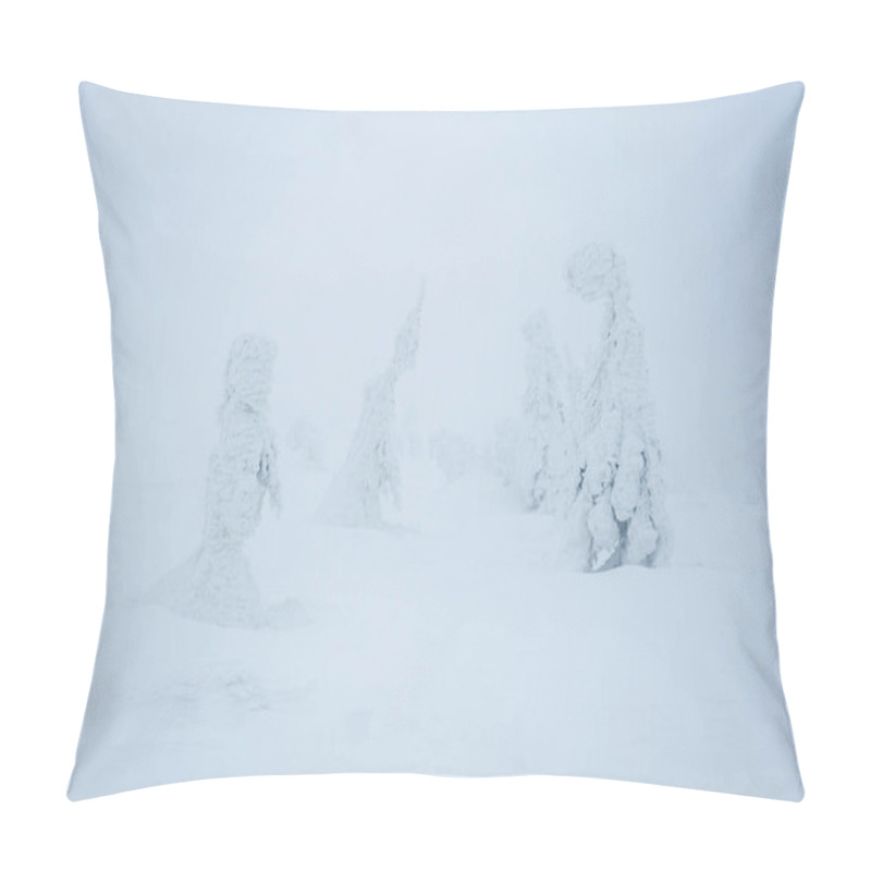 Personality  Snow Blizzard Pillow Covers