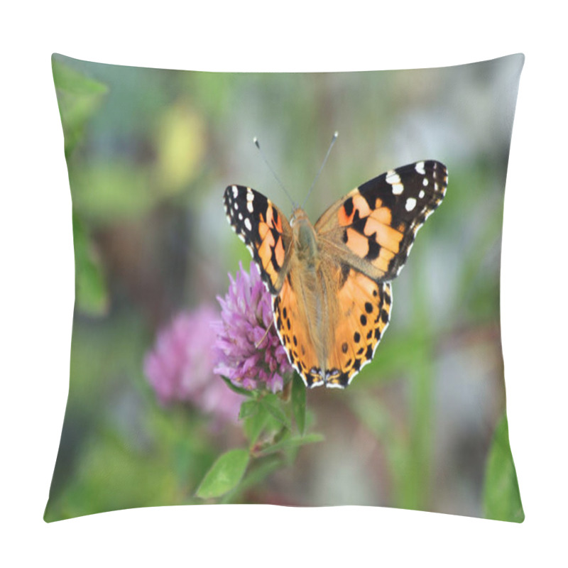 Personality  Closeup View Of Exotic Beautiful Falter Pillow Covers