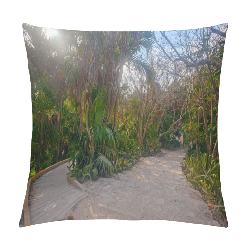 Personality  Early Morning In Park Near Tulum Ruins, Mexico Pillow Covers