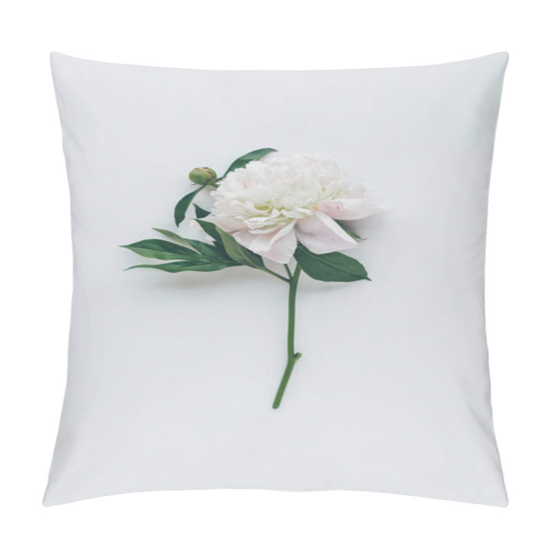 Personality  Top View Of White Peony Flower With Leaves Isolated On White Pillow Covers