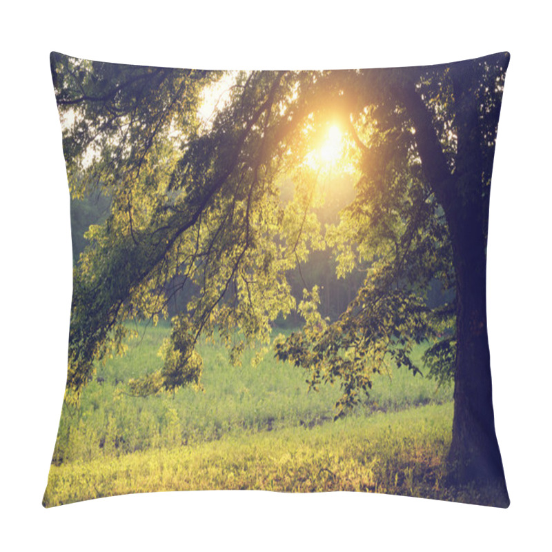 Personality  Sunlight On Green Forest Pillow Covers