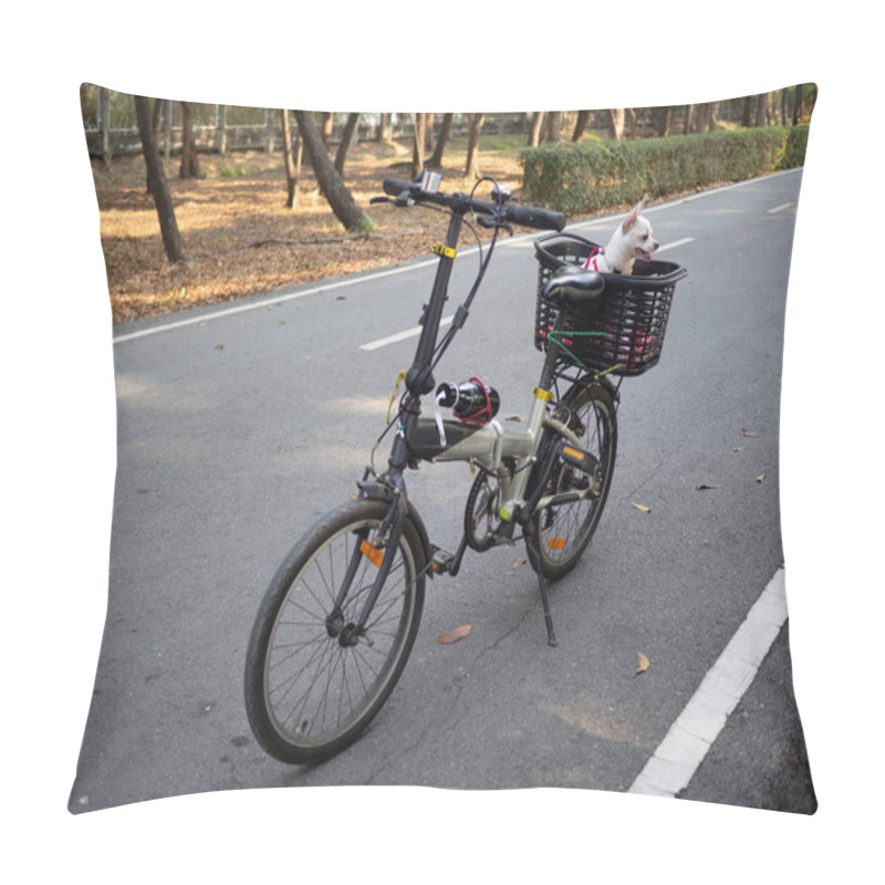 Personality  White Chihuahua In The Bicycle Basket At The Park. Cute Happy Dog Sitting In Bicycle Basket  Pillow Covers