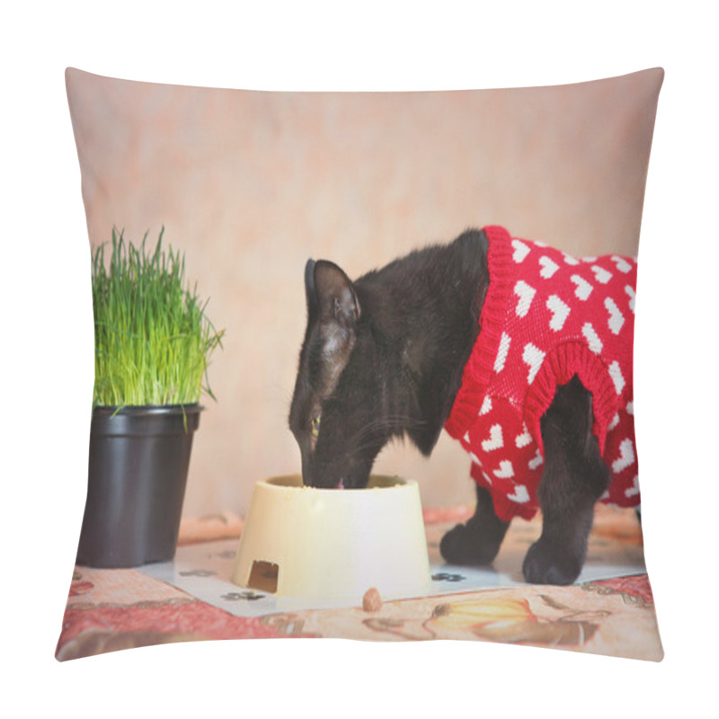 Personality  Black Bat In  Knitted Red Dress With Grass Pot Pillow Covers