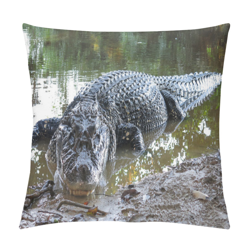 Personality  Black Caiman At Yacuma National Park, Bolivia Pillow Covers