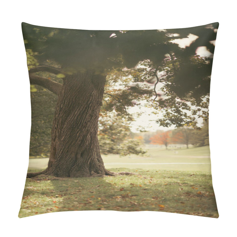 Personality  Tree And Fallen Leaves On Grass In Central Park In New York City Pillow Covers