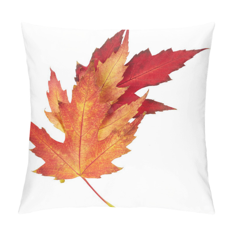 Personality  Maple Autumn Leaves Pillow Covers