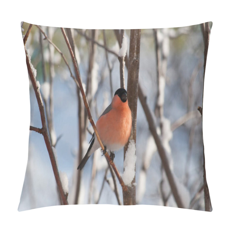 Personality  Bullfinch Sitting On A Tree Branch. Pillow Covers