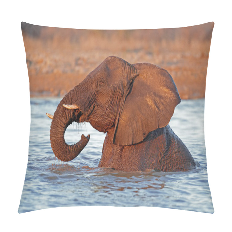 Personality  Elephant In Water Pillow Covers