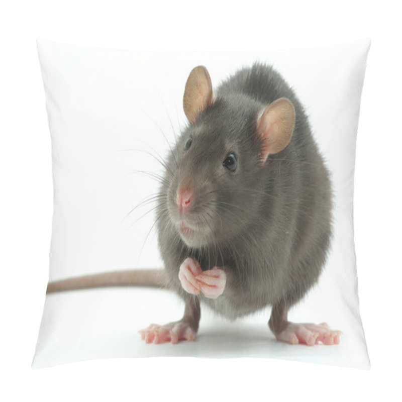 Personality  Rat Pillow Covers