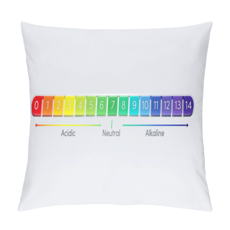 Personality  PH Scale Chart. Indicator Of Acidity Or Alkalinity In Water-based Solutions. 3d Illustration Pillow Covers