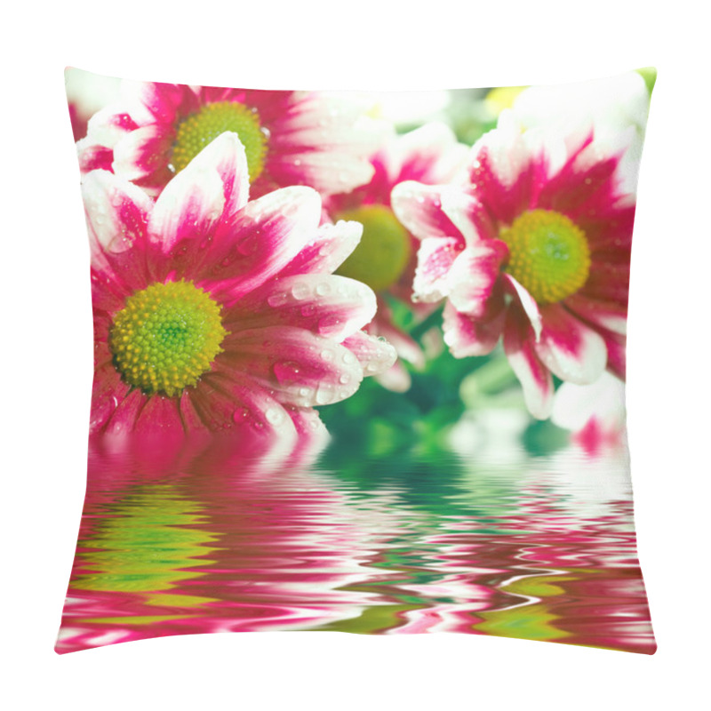 Personality  Closeup Of Pink Daisy-gerberas Pillow Covers