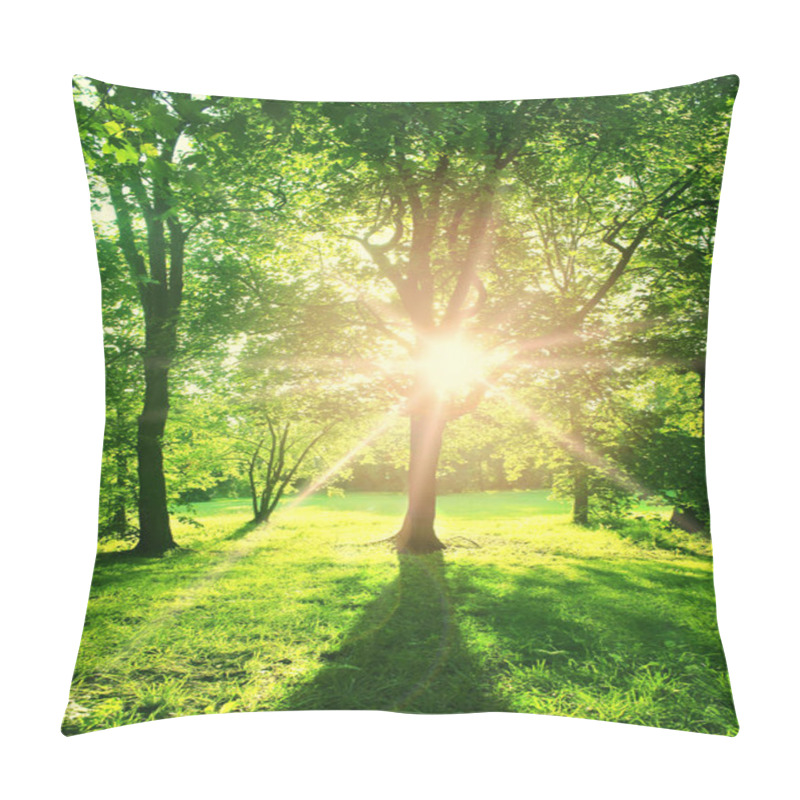 Personality  Summer Sunny Forest Trees And Green Grass. Pillow Covers