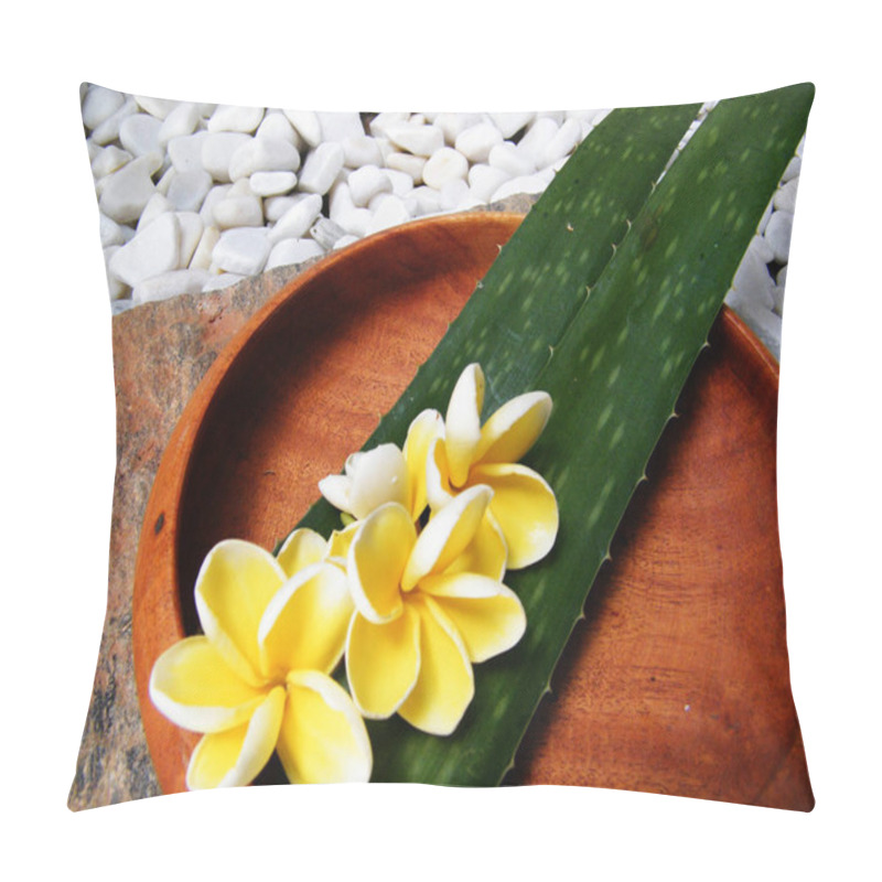 Personality  Aloe Vera On Wooden Plate.Ayurveda Spa In Sri Lanka.Wooden Plate And Aloe Vera Leaf.Ayurveda Leaf.Pebble,cement,wooden,aloe Vera, Pillow Covers