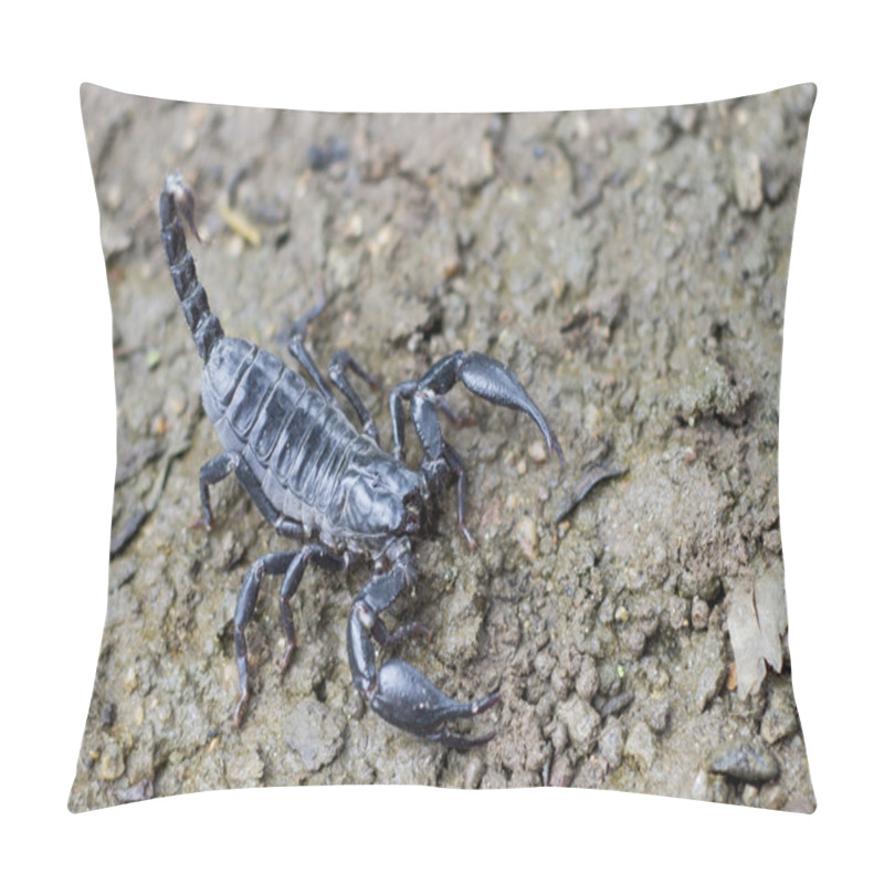 Personality  Image Of Scorpion On The Ground. Pillow Covers