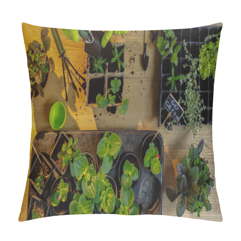 Personality  Top View Of Gardener Pouring Soil From Shovel On Plants On Table  Pillow Covers