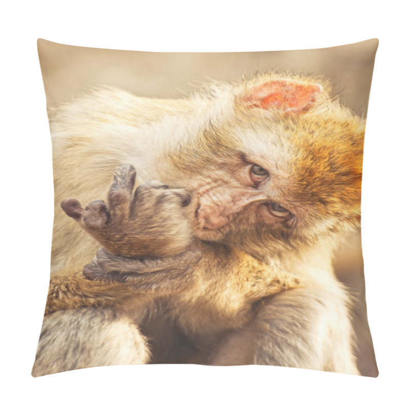 Personality  Monkey Sticking Up Middle Finger Pillow Covers