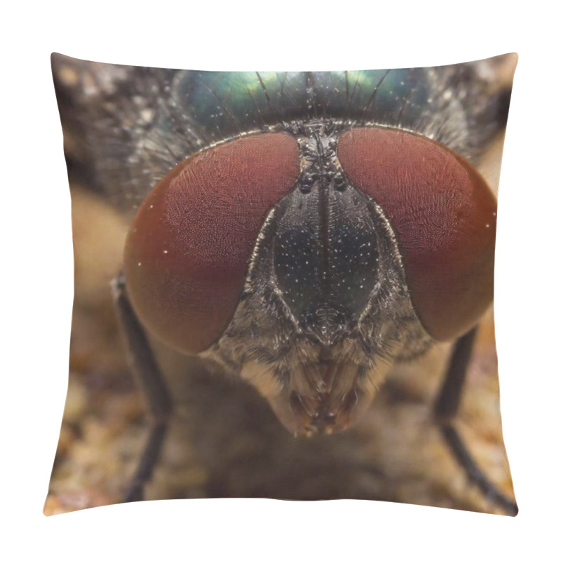 Personality  Extreme Macro Of A Housefly's Compound Eyes, Showing The Hundreds Of Tiny Lenses. Pillow Covers