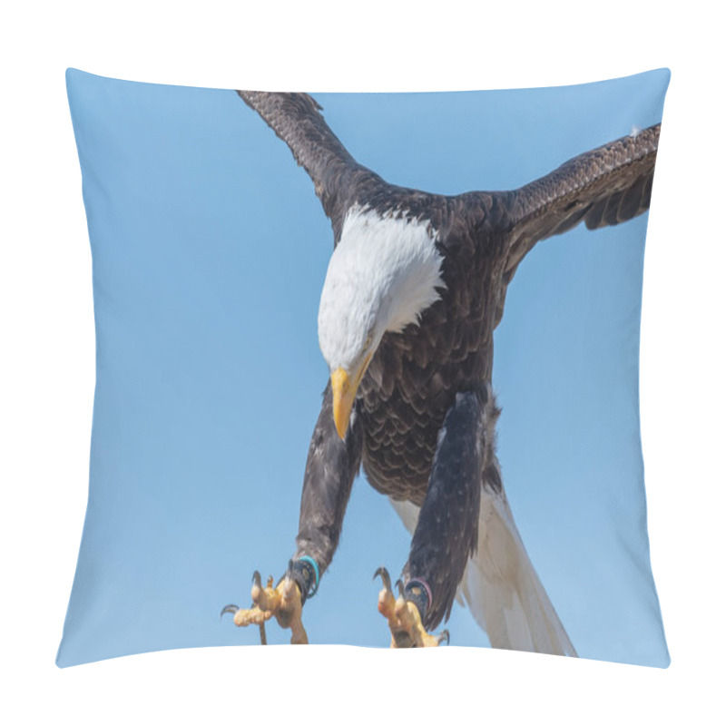 Personality  Bald Eagle (haliaeetus Leucophalus) Pillow Covers