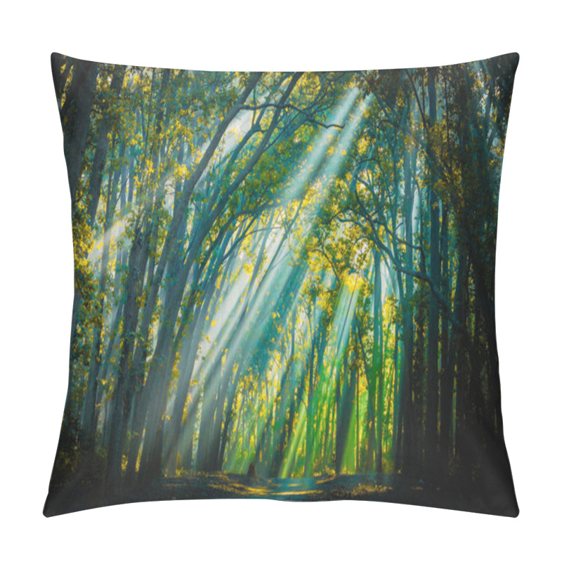 Personality  Road To Home. Sunrays With Mist Appearing Pillow Covers