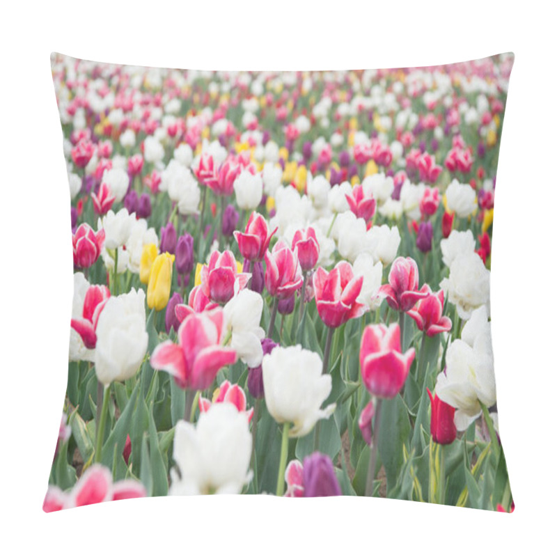 Personality  Happy Womens Day. Spring Floral Background. Perfume Fragrance And Aroma. Flowers Shop. Growing Flowers. Netherlands Countryside. Multicolored Flowers. Tulip Fields Colourfully Burst Into Full Bloom Pillow Covers