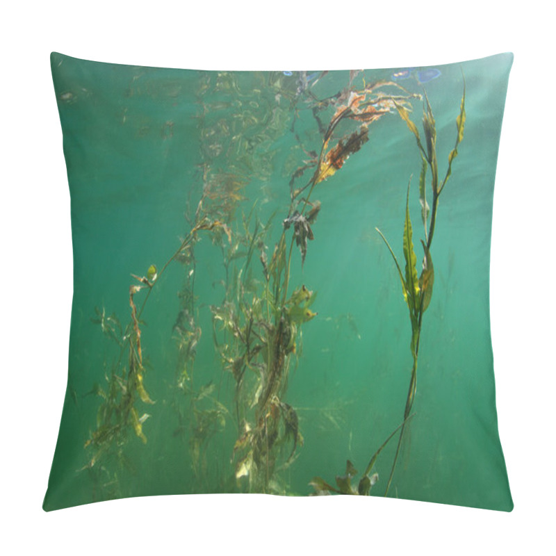 Personality  Water Plant Pillow Covers