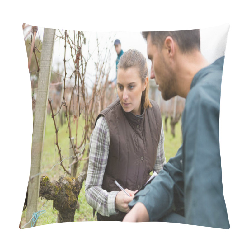 Personality  Man Working In A Vineyard Pillow Covers