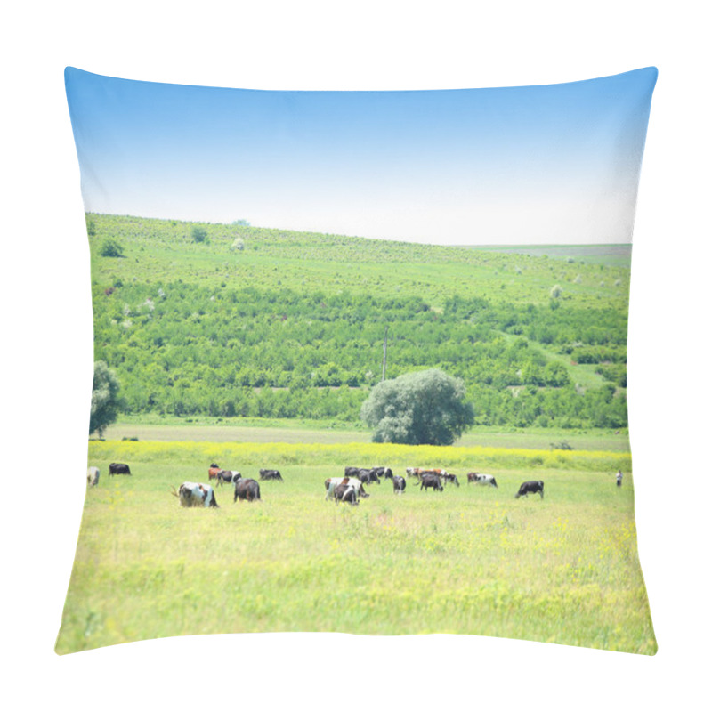 Personality  Cows In The Meadow. Pillow Covers