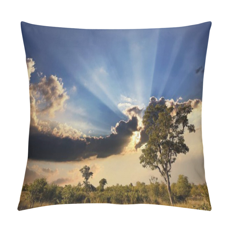 Personality  African Landscape With Dramatic Clouds In Kruger National Park, South Africa Pillow Covers