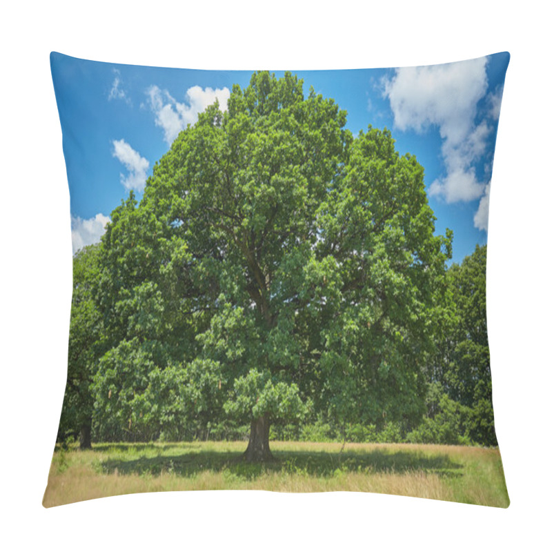 Personality  Centennial Oak Tree Pillow Covers