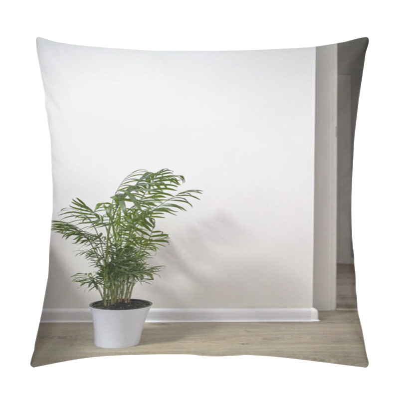 Personality  Decorative Areca Palm Tree In White Ceramic Pot Against White Wall Pillow Covers