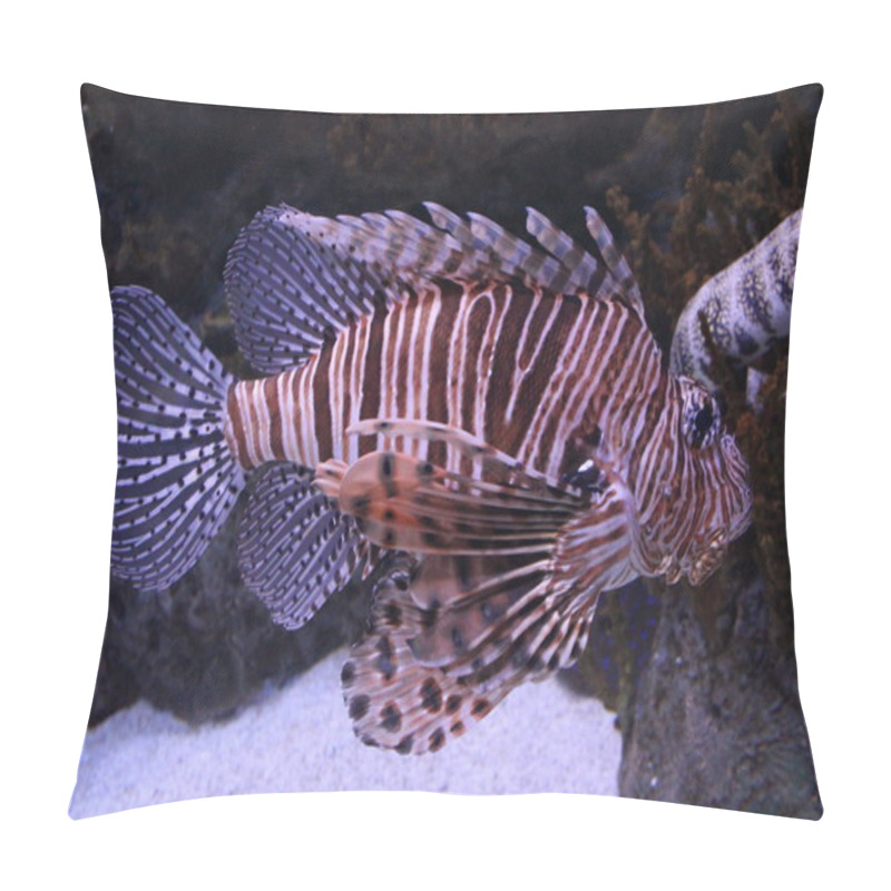 Personality  Striped Scorpion Fish Pillow Covers