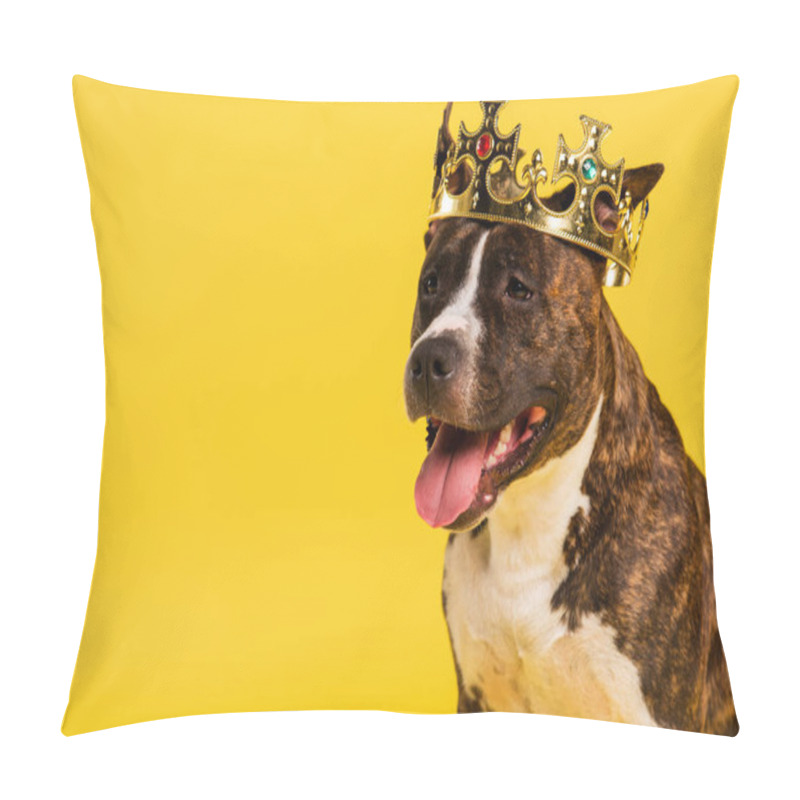 Personality  Purebred Staffordshire Bull Terrier In Golden Crown Isolated On Yellow  Pillow Covers