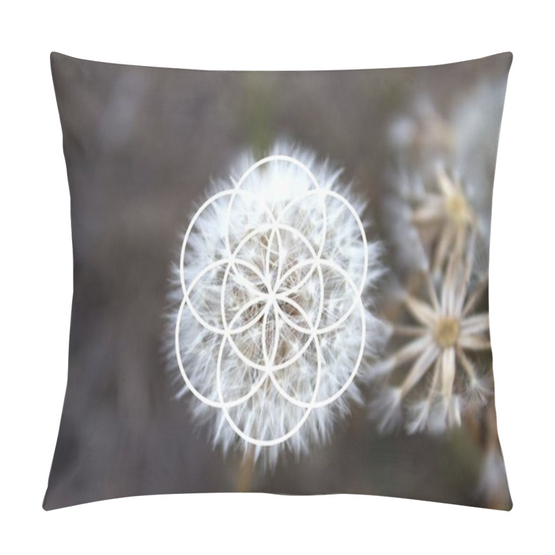 Personality  Sacred Geometry In Nature - Dandelion - Flower Of Life, Vector Illustration Pillow Covers