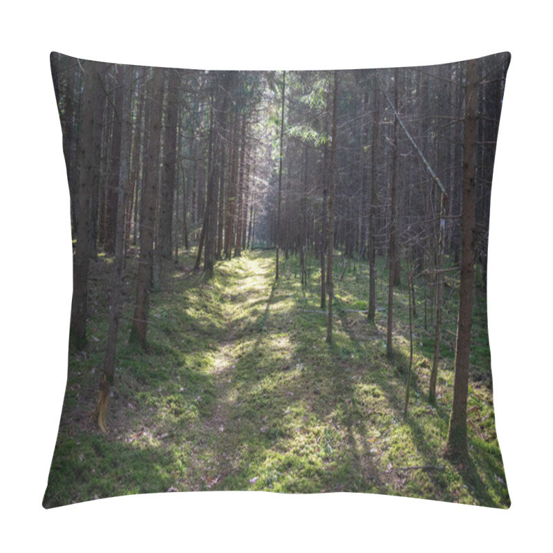 Personality  Old Road In Forest With First Foliage Growing At Spring Sunny Day  Pillow Covers