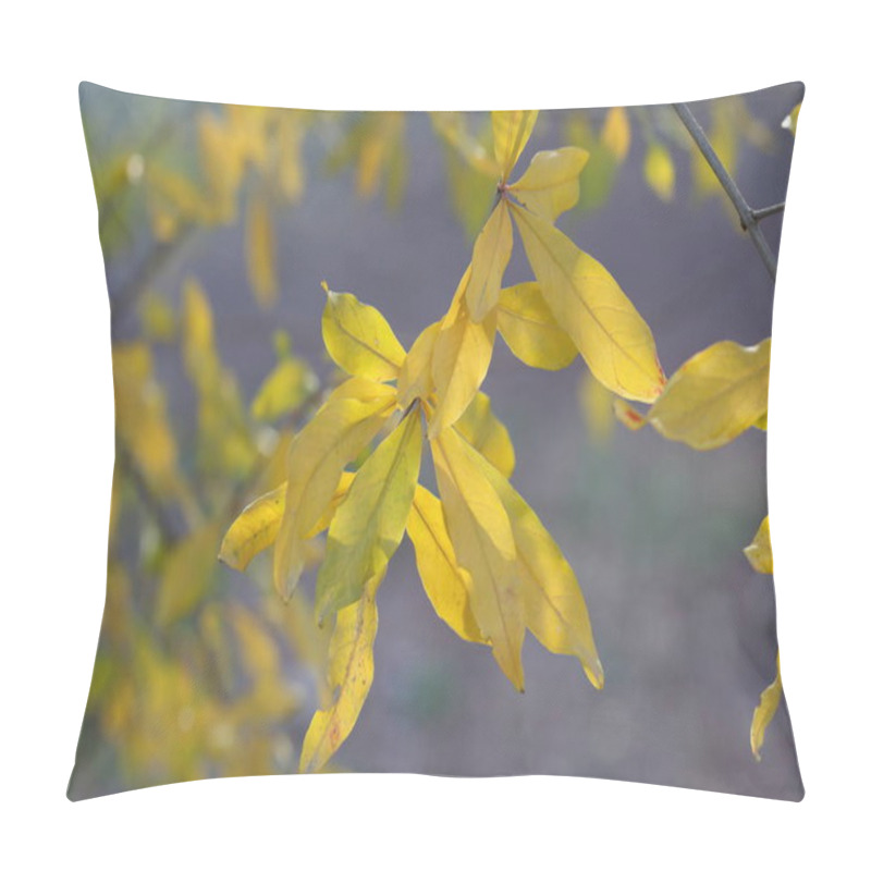 Personality  Yellow Pomegranate Leaves On The Tree In Autumn Pillow Covers