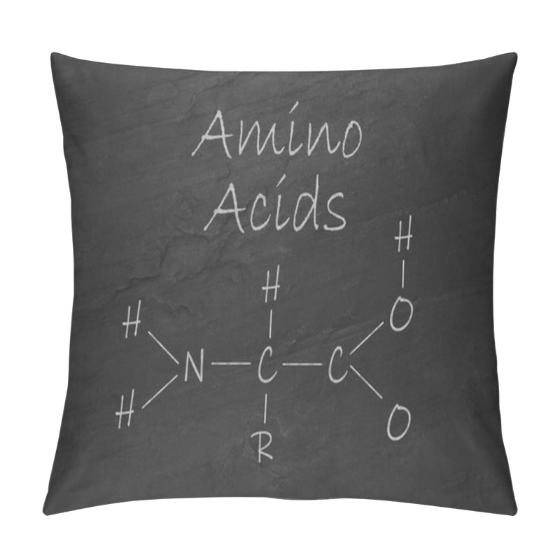 Personality  Text Amino Acids And Chemical Formula On Black Slate Surface Pillow Covers